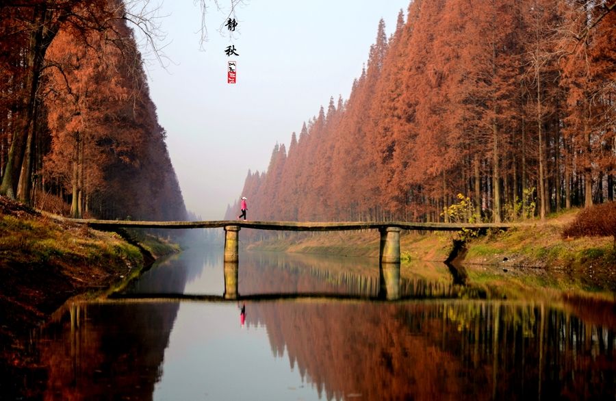 頭像圖標(biāo)1